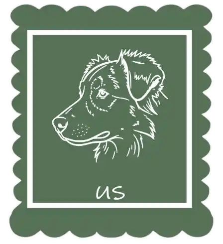 us-the-casta-na-vila-website-en